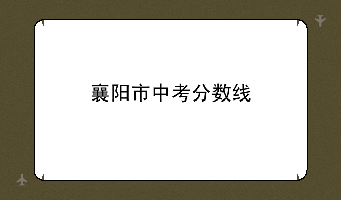 襄阳市中考分数线