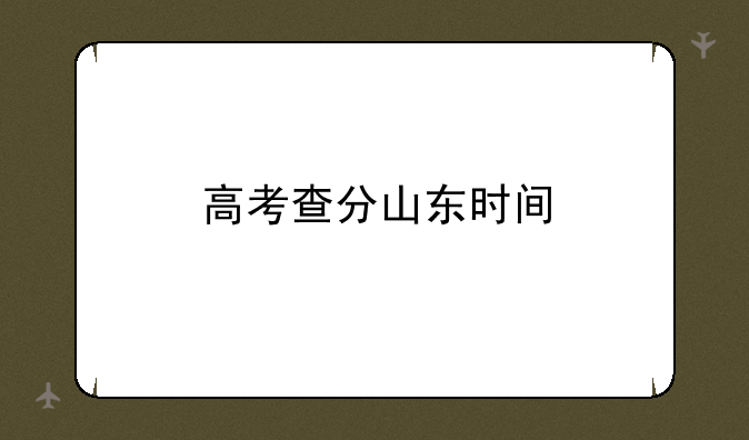 高考查分山东时间