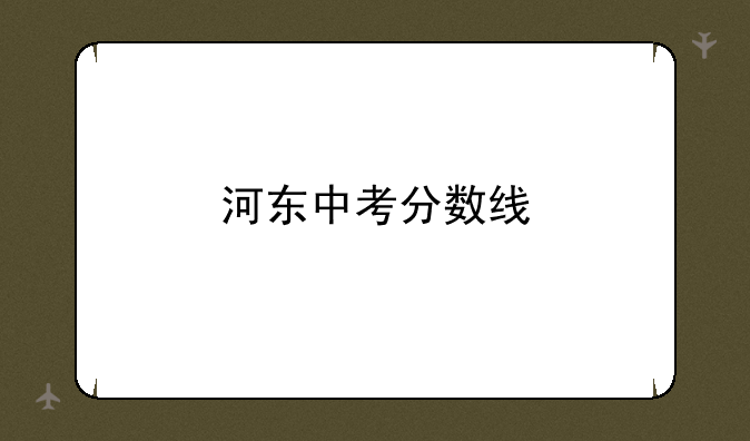 河东中考分数线