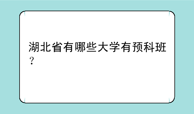 湖北省有哪些大学有预科班？