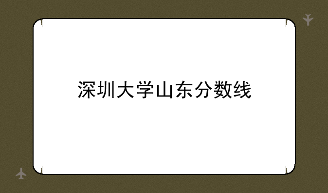 深圳大学山东分数线