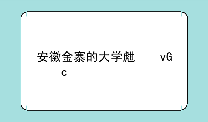 安徽金寨的大学生村官工资