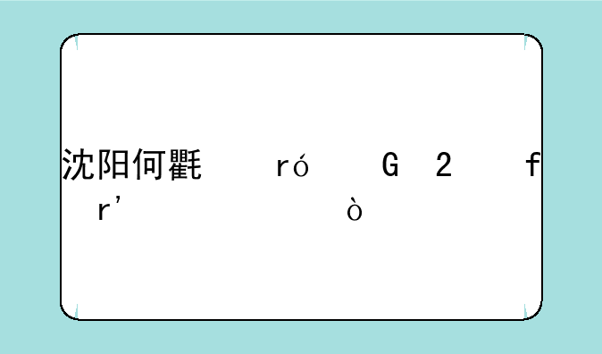 沈阳何氏眼科医院有几家？
