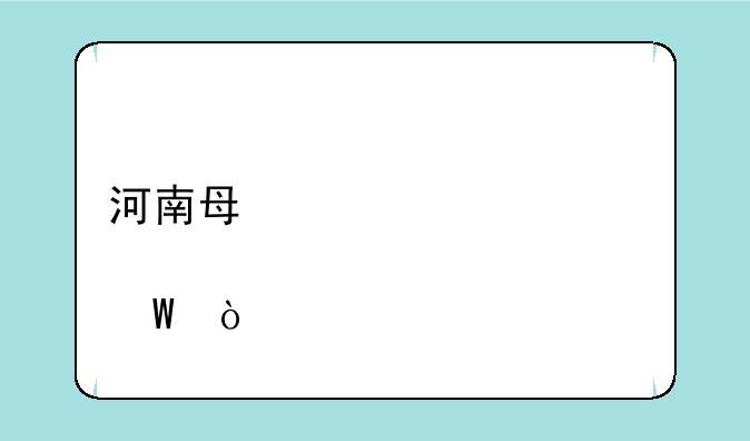 河南每年考几次自学考试？