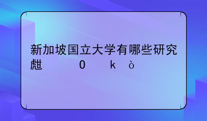 新加坡国立大学有哪些研究生专业？