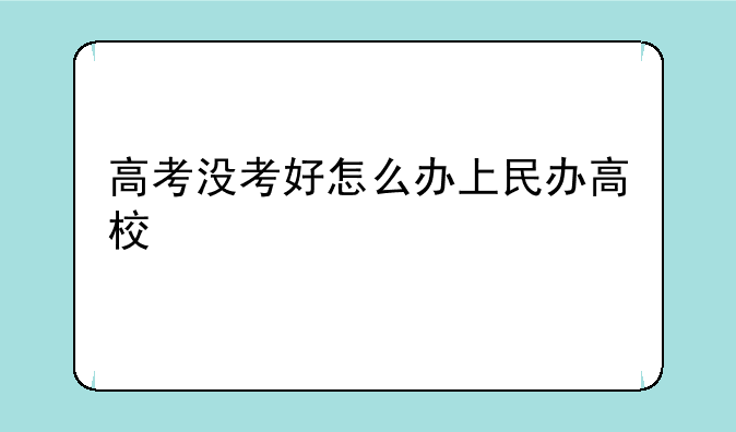 高考没考好怎么办上民办高校