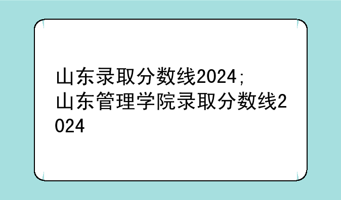 山东录取分数线2024;山东管理学院录取分数线2024