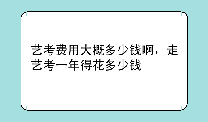 艺考费用大概多少钱啊，走艺考一年得花多少钱