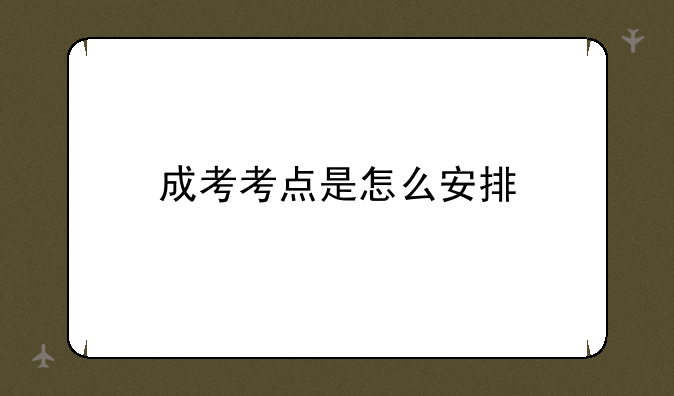成考考点是怎么安排